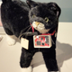 Illustration for article titled Sony Wants Your Cat To Use Twitter, Too